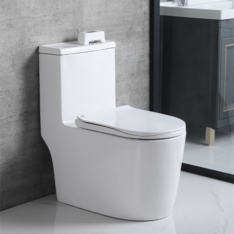 Automatic Sensor Toilet Flusher