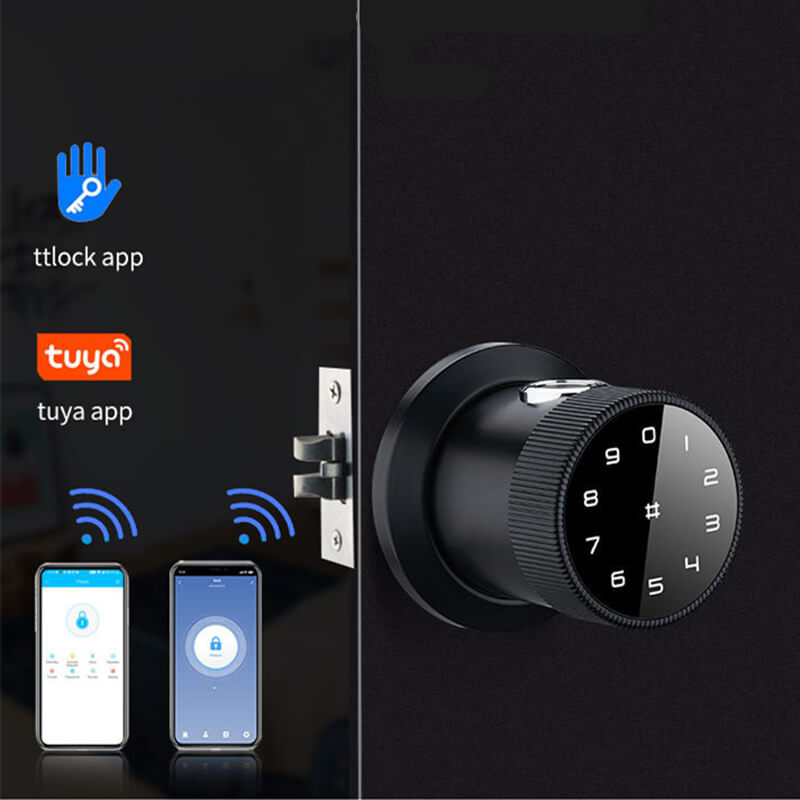 Smart Door Knob Lock